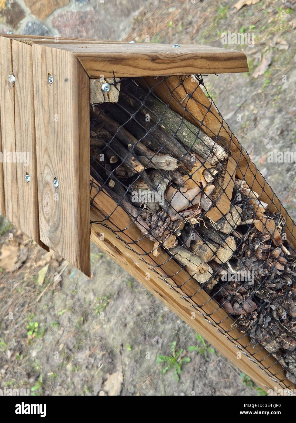 Primo piano della casa di insetti in legno per la biodiversità e l'impollinazione in un giardino ecologico - concetto di vita sostenibile - Immagine stock catturata con smartphone