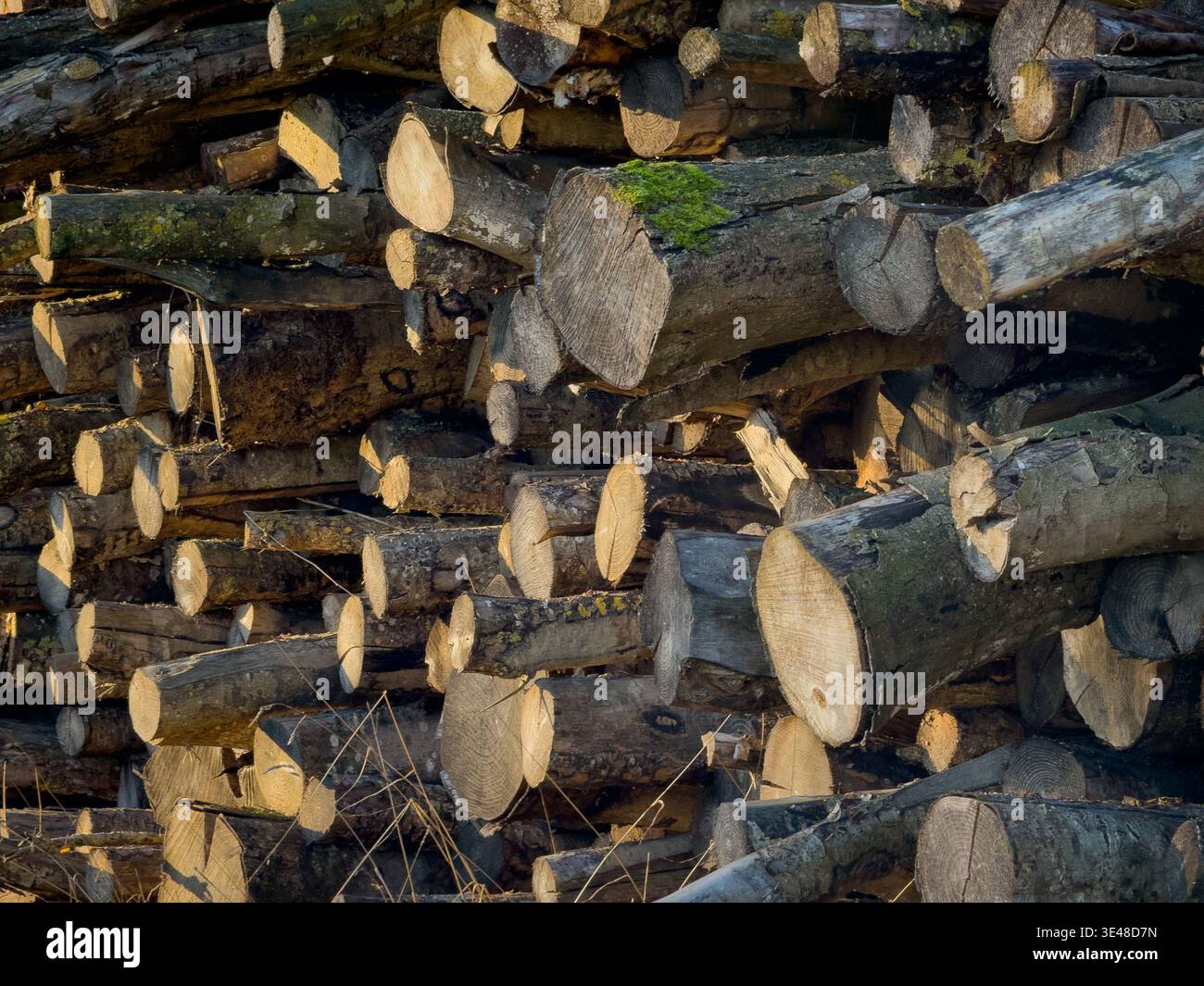 Hovingham, North Yorkshire Foto Stock