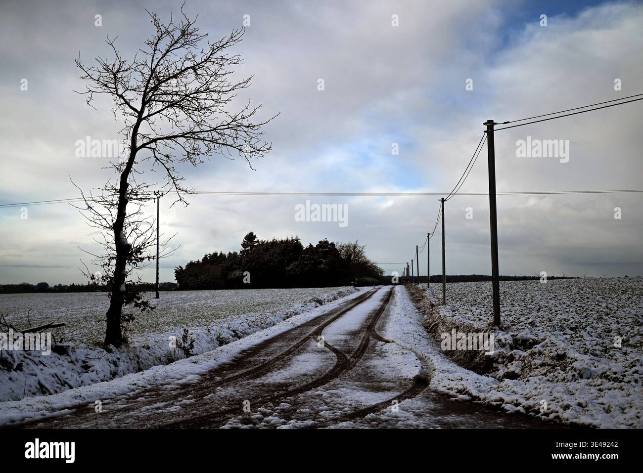 scene ghiacciate d'inverno Foto Stock