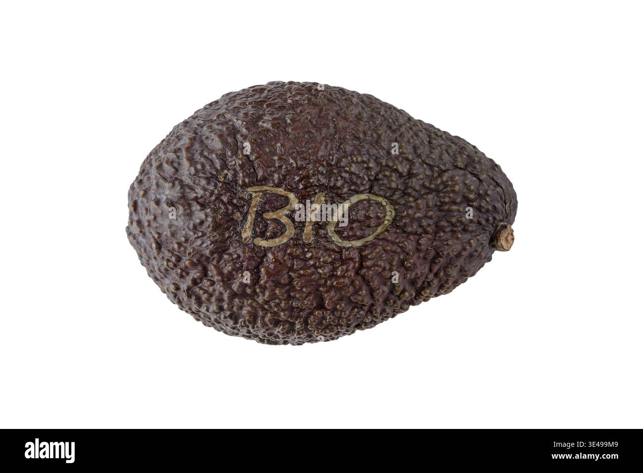 Avocado organico integrale marrone Hass isolato su sfondo bianco. Avocado bio maturo. Raccolta di frutta Foto Stock