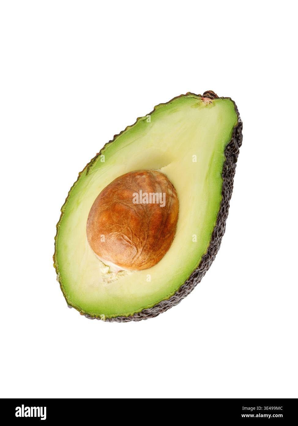 Avocado mezza maturo Hass isolato su sfondo bianco. Avocado crudo marrone a fette. Raccolta di frutta Foto Stock