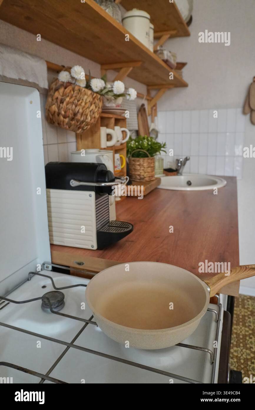 Accogliente ambiente da cucina con elementi naturali e apparecchiature funzionali per la creatività culinaria Foto Stock