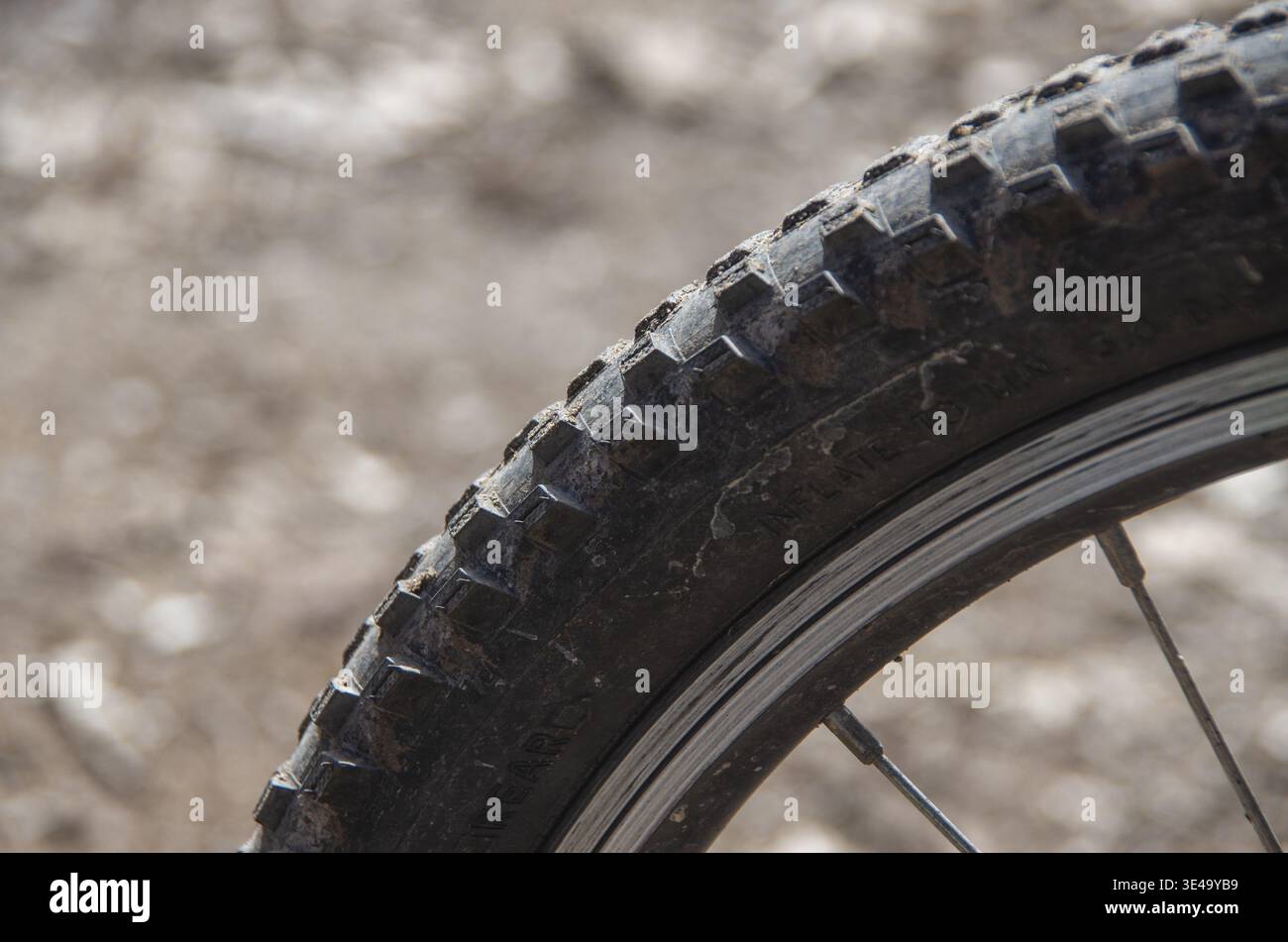 Pneumatico per mountain bike che mostra lo sporco e il battistrada di un'avventura all'aria aperta Foto Stock