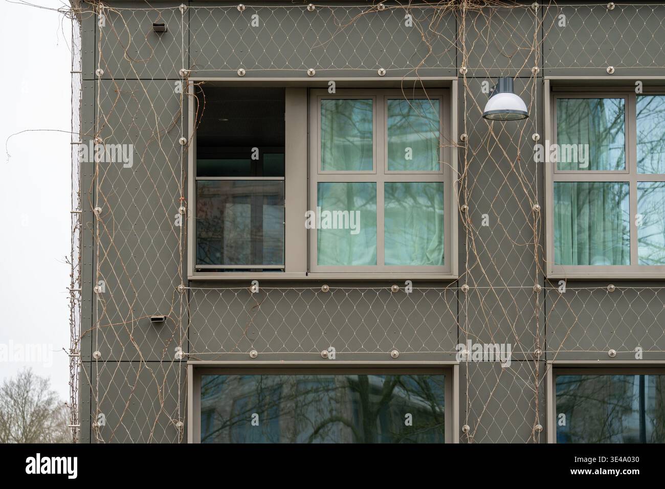 Tralicci con facciata verde, griglia di supporto per gli impianti di arrampicata all'esterno dell'edificio Foto Stock
