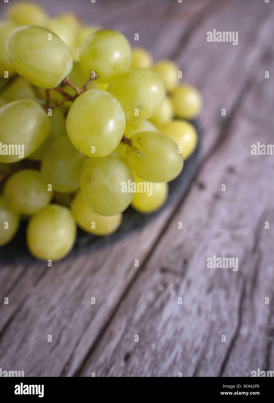 primo piano di un grappolo d'uva verde chiaro fresco appoggiato su un piatto scuro in cima a un piano in legno rustico e resistente agli agenti atmosferici, una natura morta morbida e poco profonda con un aspetto lucido Foto Stock