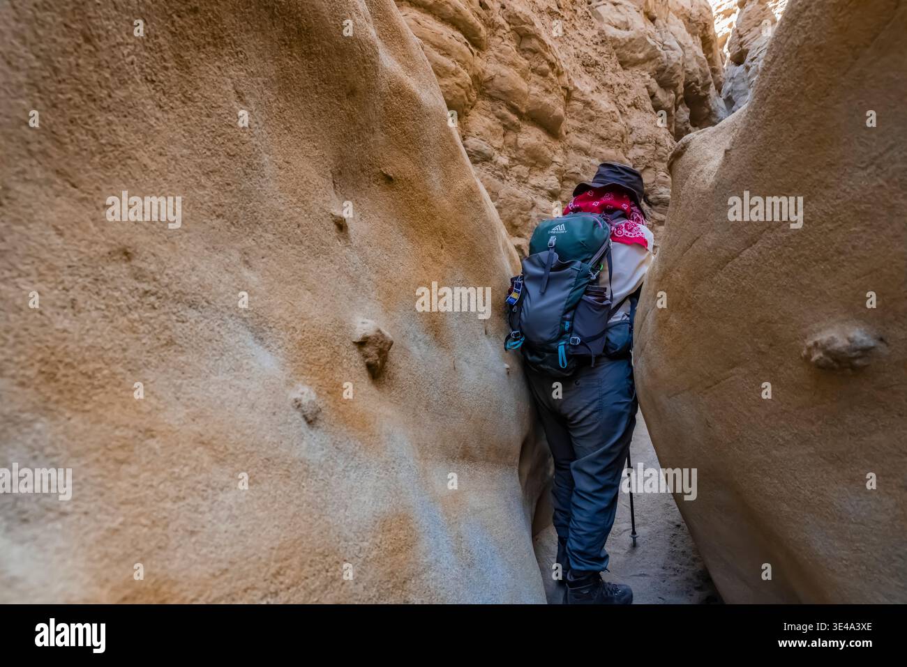 Escursioni nella slot del parco statale del deserto di Anza-Borrego, California, Stati Uniti Foto Stock