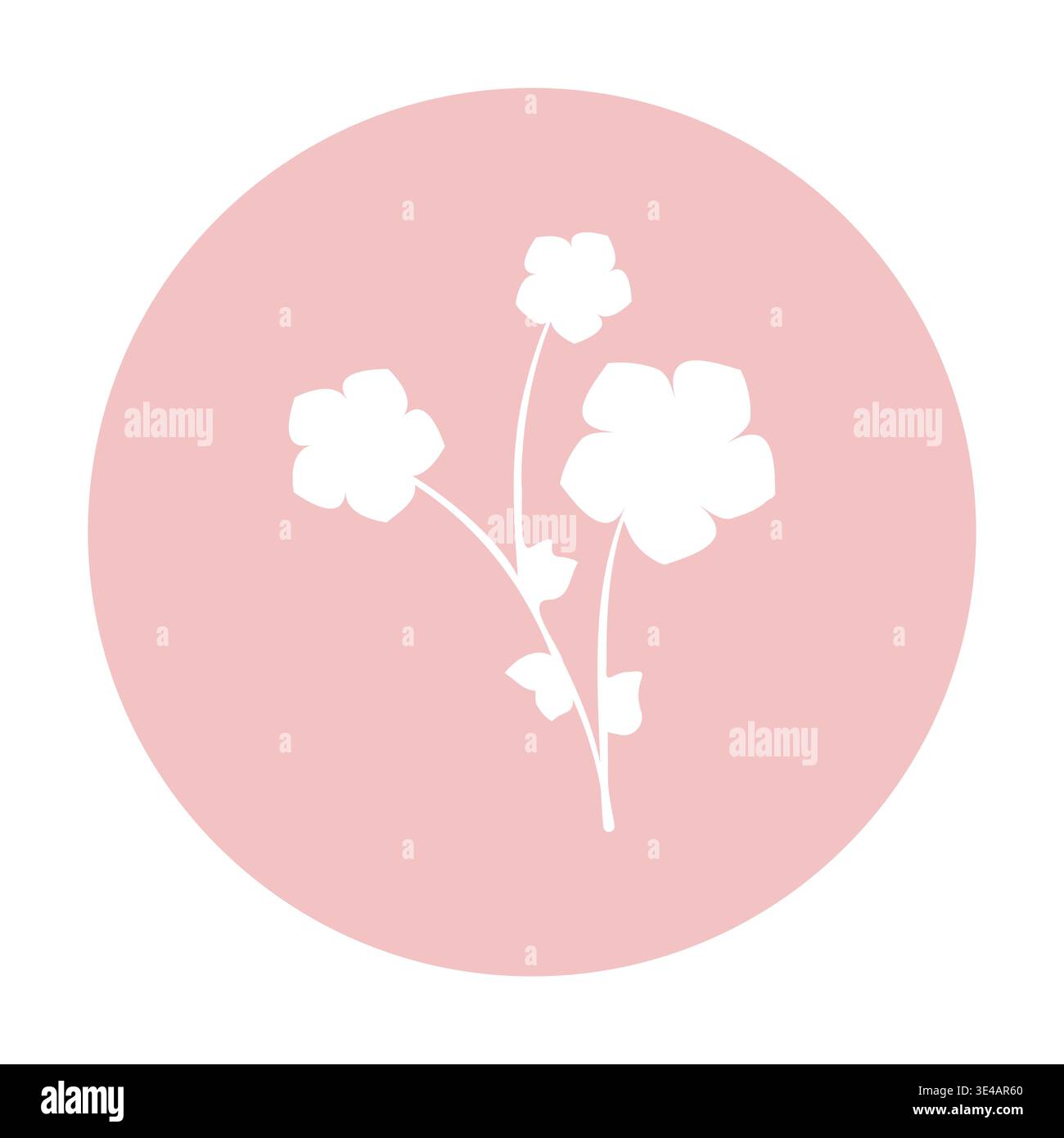 Una grafica semplice presenta delicati fiori bianchi ritagliati. Tre fiori e piccole foglie germogliano dai fusti, appoggiati su uno sfondo circolare rosa chiaro. Illustrazione Vettoriale