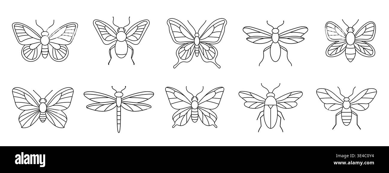 Diversi tipi di insetti disegnati in uno stile semplice che mostra ali e dettagli del corpo con particolare attenzione alle loro forme e caratteristiche Illustrazione Vettoriale