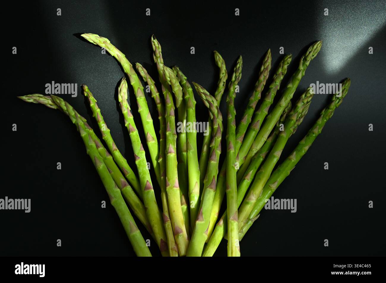 Fresche lance di asparagi legate con spago su sfondo nero stile minimal Foto Stock