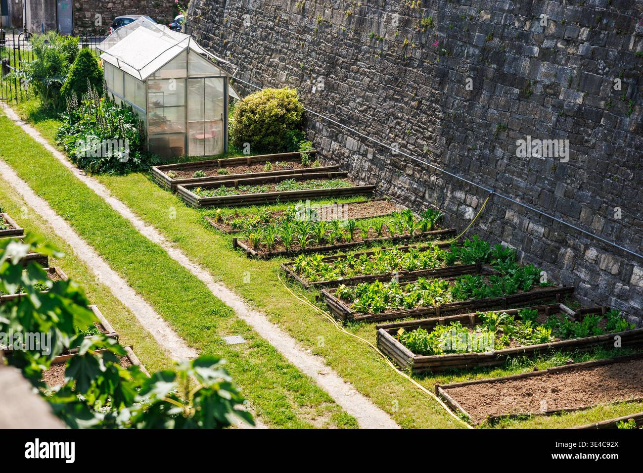 Orto comunitario con orti e serra. Giardinaggio urbano e stile di vita sostenibile Foto Stock