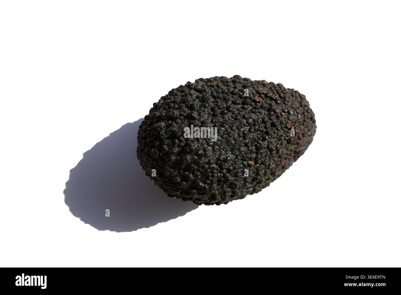 Due avocado maturi Hass isolati su sfondo bianco puro per un design culinario Foto Stock