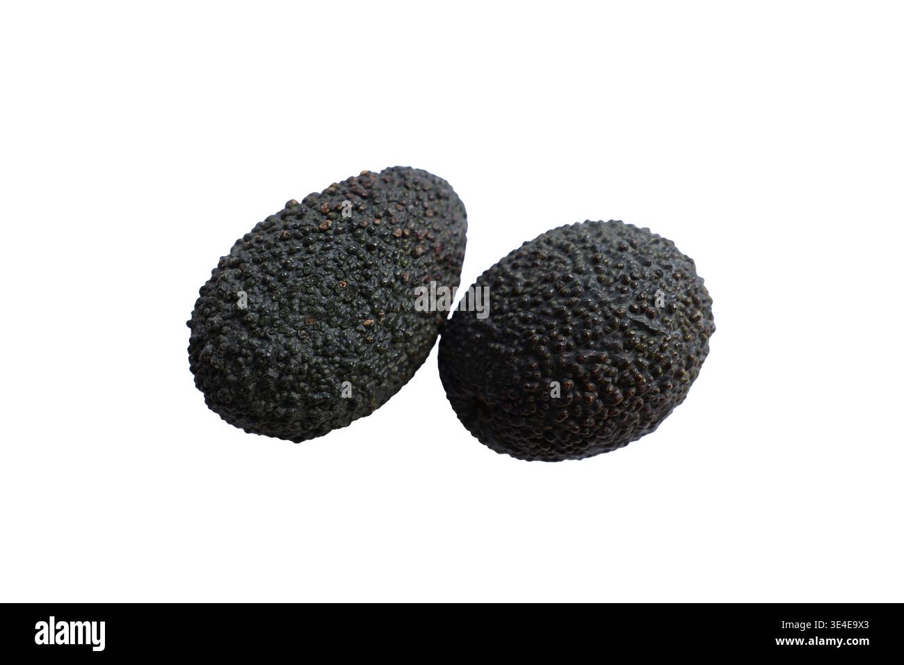 Due avocado maturi Hass isolati su sfondo bianco puro per un design culinario Foto Stock