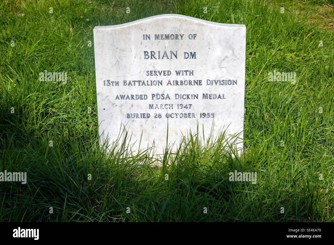 Ilford, Londra - 22 marzo 2026: Tomba di Brian, un cane che ha prestato servizio nella seconda guerra mondiale con la 13th Airborne Division e ha ricevuto la Dickin Medal - The anima Foto Stock