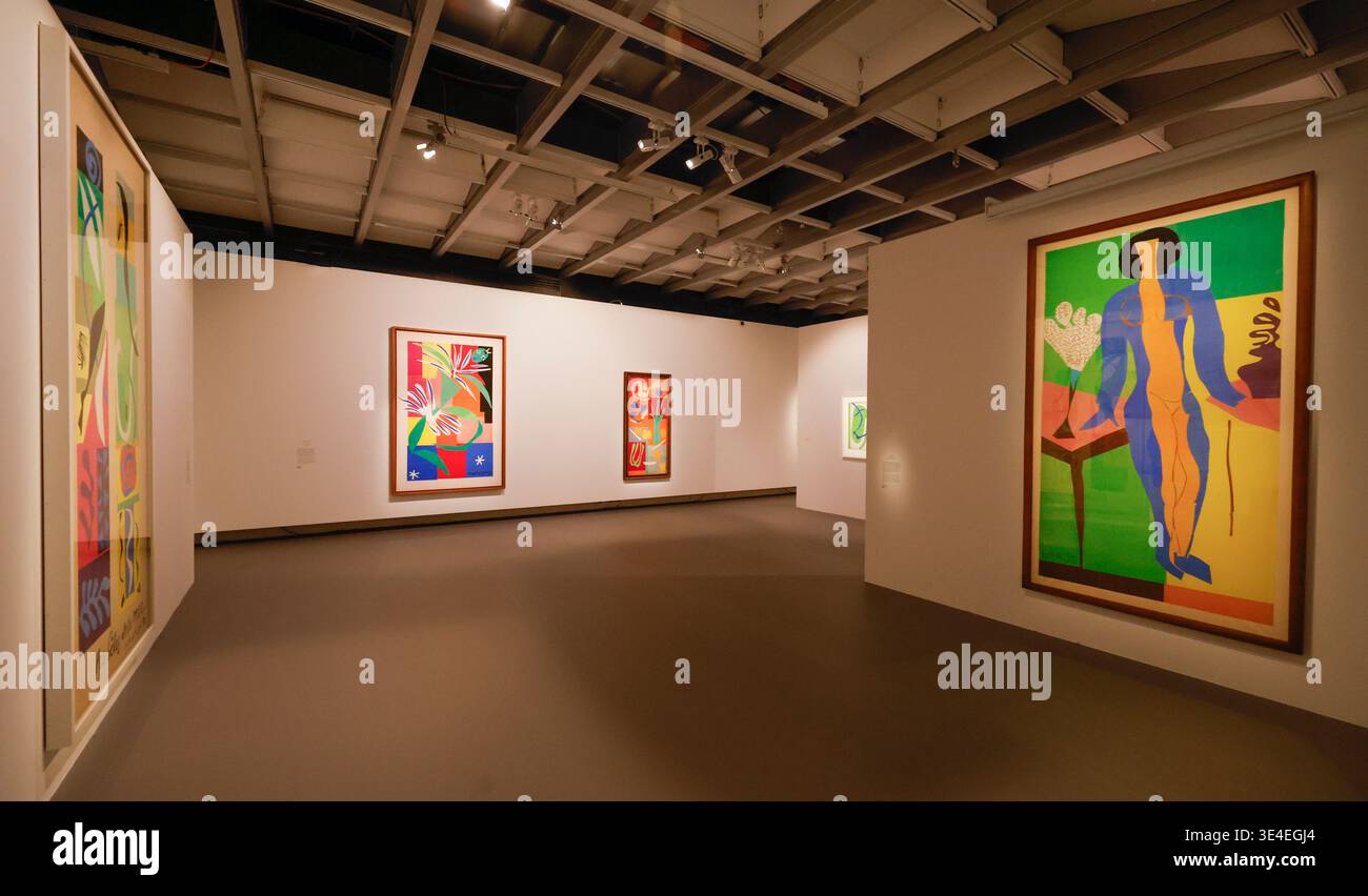 MATISSE L'INTAGLIATORE DI LUCE AL GRAND PALAIS DI PARIGI Foto Stock