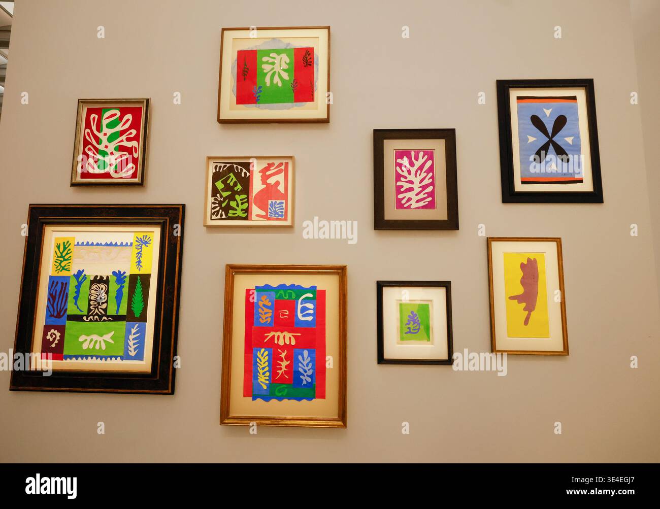 MATISSE L'INTAGLIATORE DI LUCE AL GRAND PALAIS DI PARIGI Foto Stock