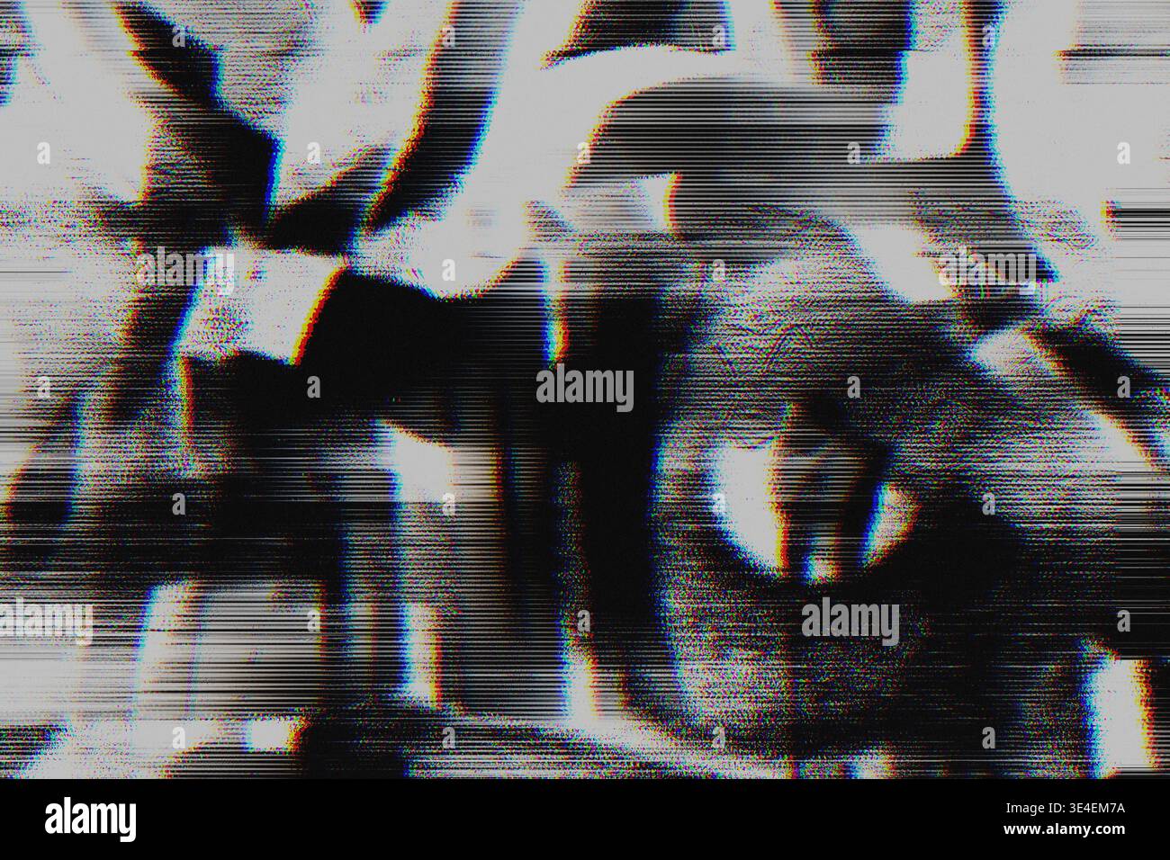 Distorsione monocromatica con texture Scanline glitch in bianco e nero Foto Stock