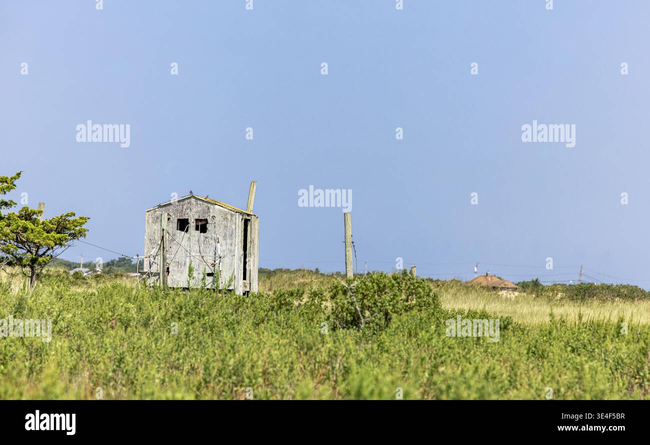 una struttura in legno abbandonata in un campo erboso estivo Foto Stock
