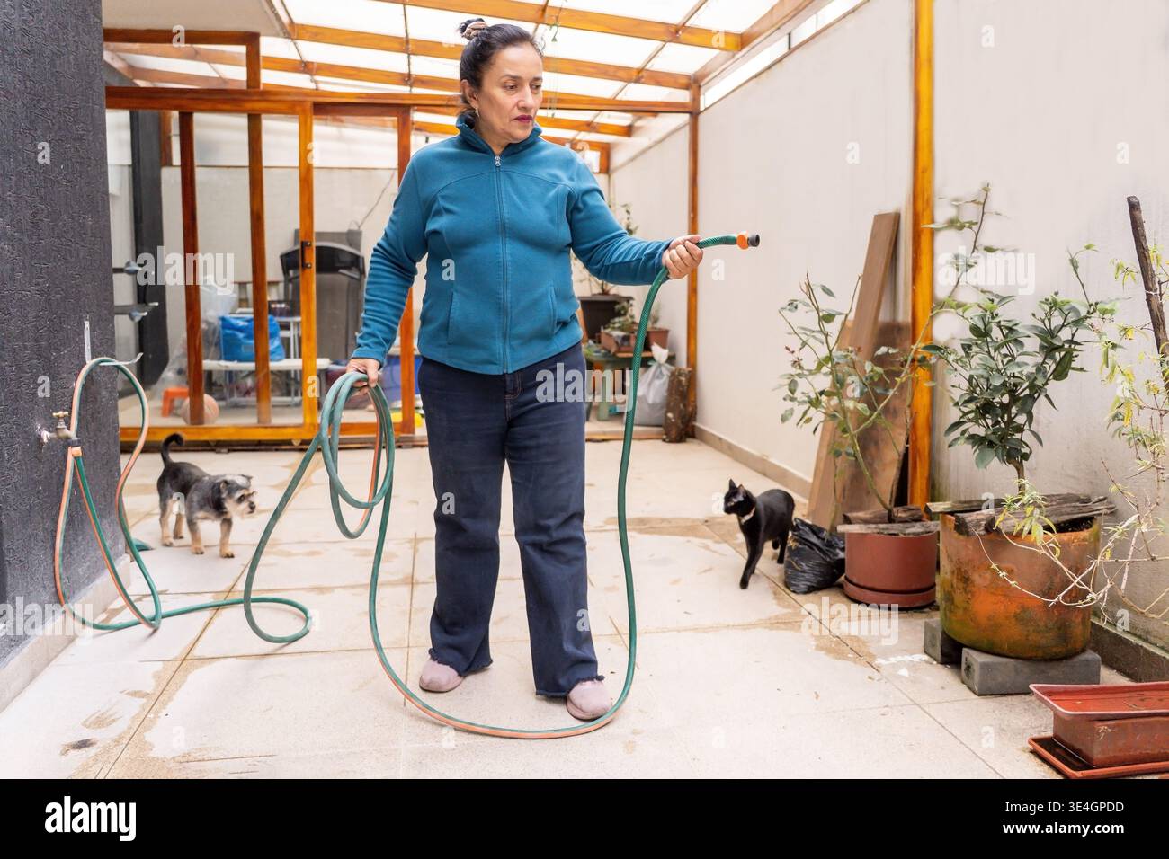Donna che innaffia piante in un patio di casa, con un cane e un gatto nelle vicinanze Foto Stock