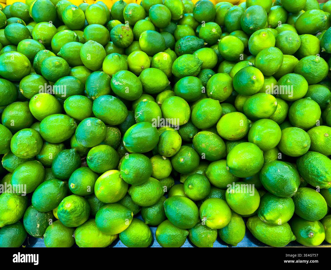 Un grande mucchio di limes freschi riempie la stalla del mercato. I limes sono verdi e rotondi, creando un'esposizione accattivante mentre gli acquirenti esplorano la zona i. Foto Stock