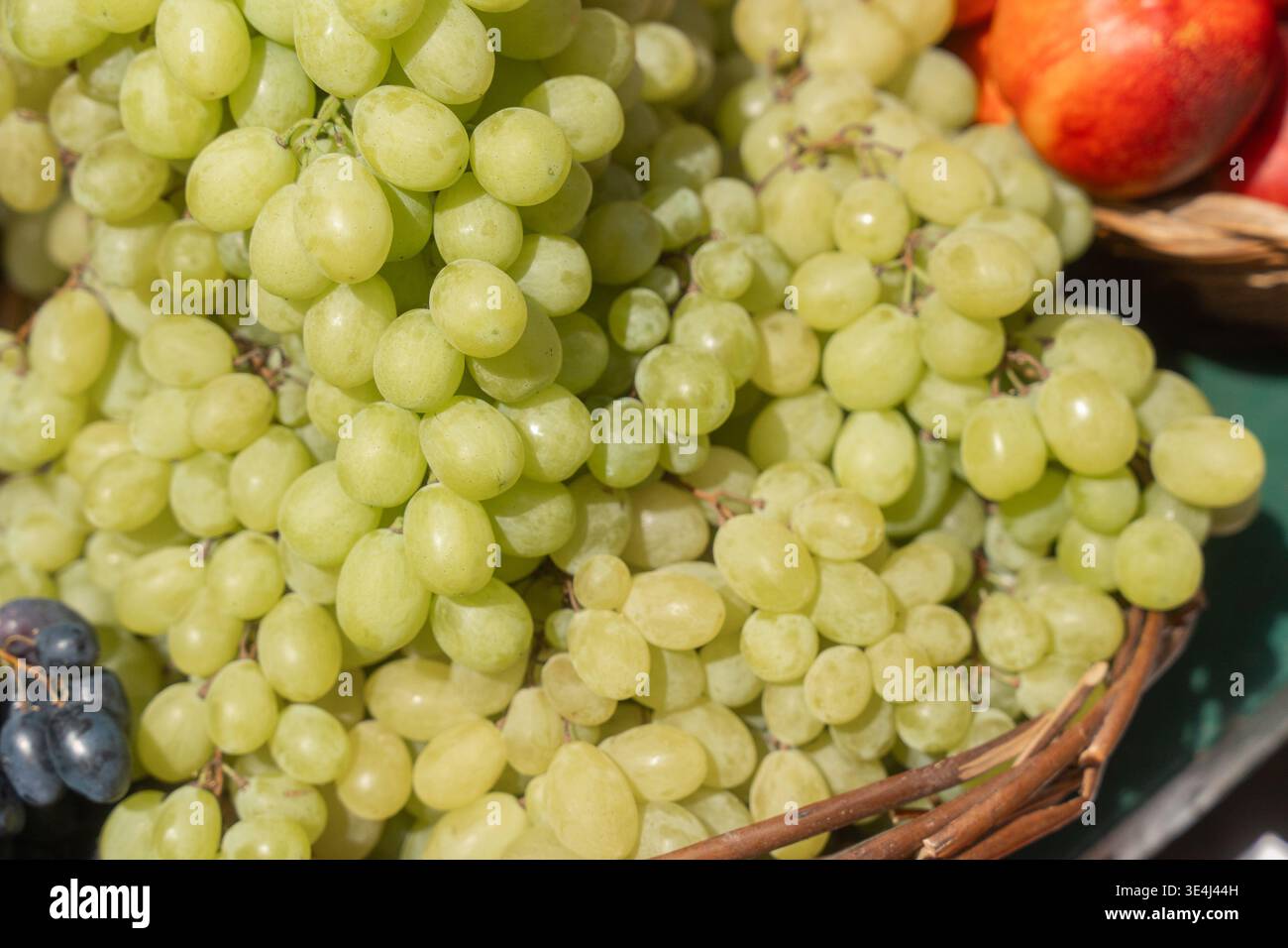 Primo piano di uva verde fresca accumulata in una bancarella del mercato. La texture naturale e la luce soffusa creano un concetto di nutrizione sana e raccolta stagionale. Foto Stock