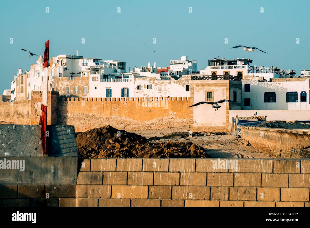 Vista soleggiata di Essaouira, Marocco, che mostra le mura fortificate della città e gli edifici bianchi della medina sulla costa atlantica, con bastioni di pietra, gabbiani, a. Foto Stock