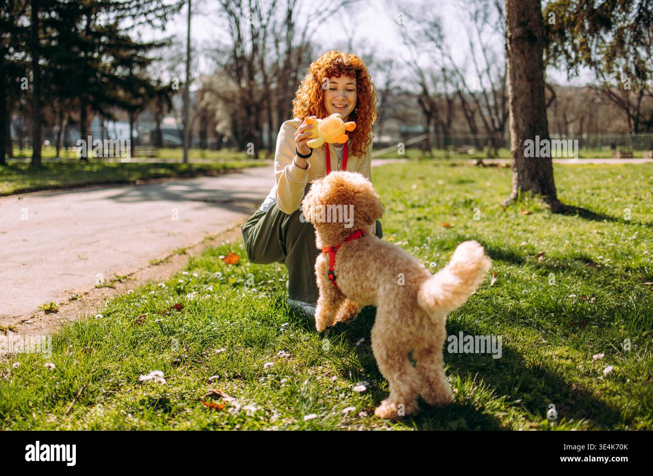 Donna che tiene con gioia il suo cane all'aperto in un parco soleggiato Foto Stock