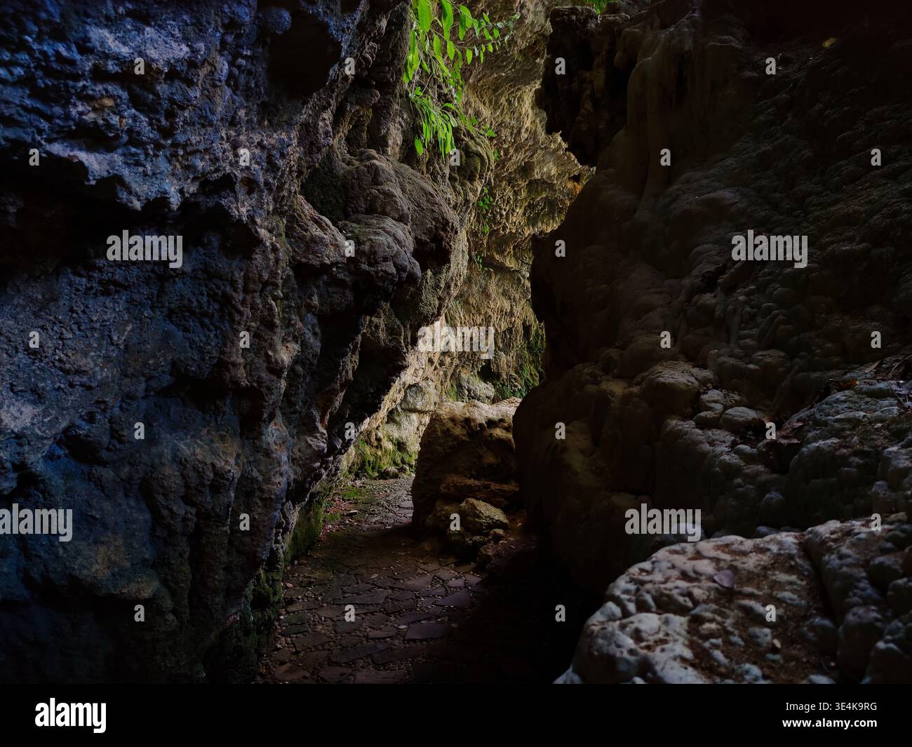 Una ripresa cinematografica di una passerella lastricata di pietra che si snoda tra torreggianti pareti rocciose testurizzate all'interno di una caverna naturale. L'immagine cattura il contrasto tra Foto Stock