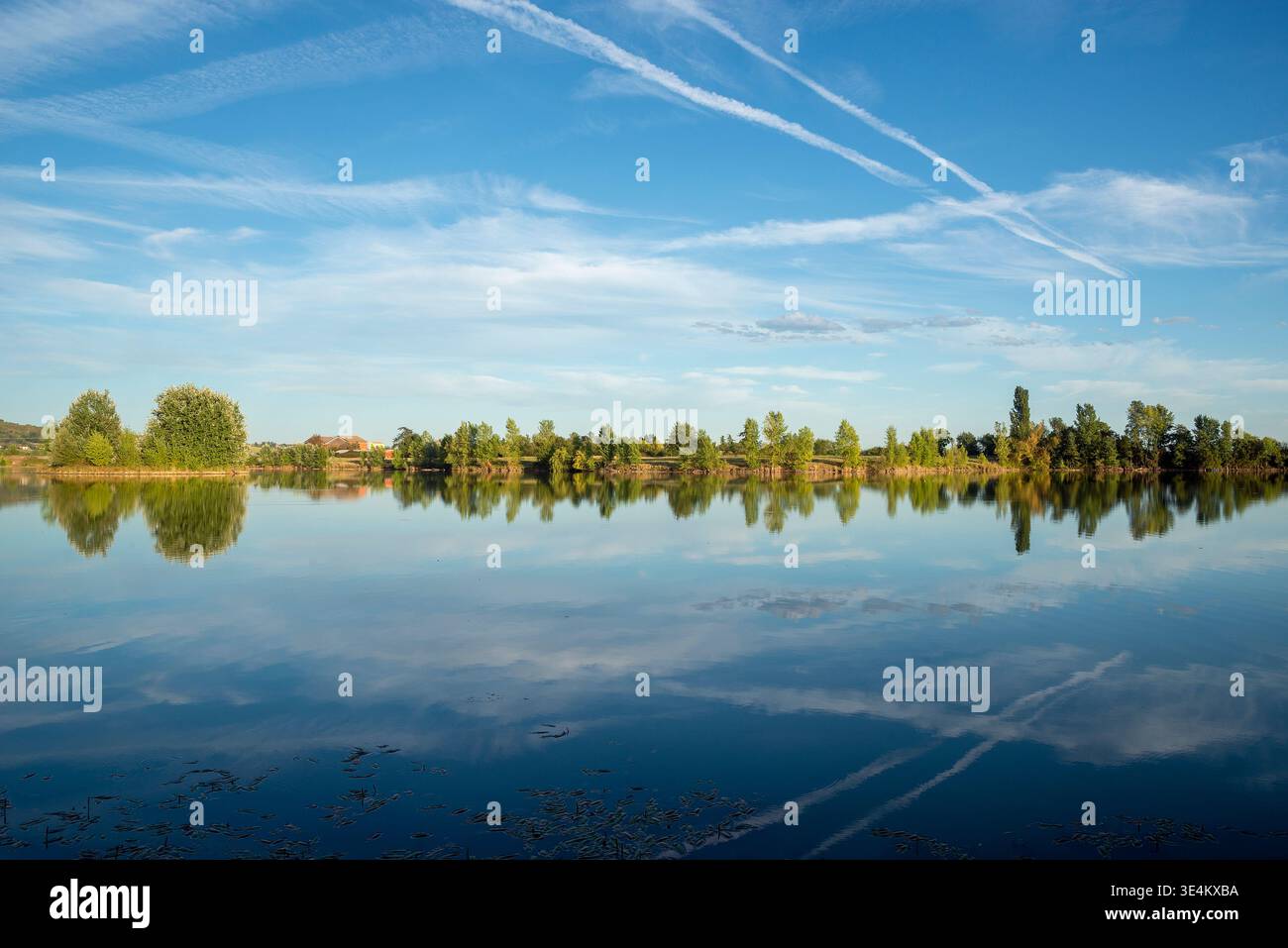 Vista sul Lac Balat-David di una foresta sul lungomare e del suo riflesso, Montauban, Tarn-et-Garonne, Francia Foto Stock