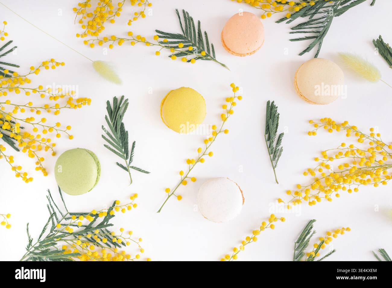 Vista dall'alto di macaron assortiti, fiori di mimosa e rami su sfondo bianco Foto Stock
