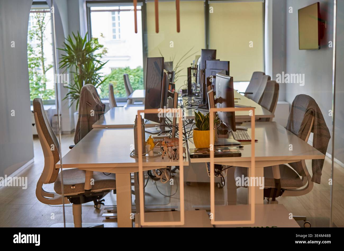 Interni moderni con file di scrivanie bianche dotate di monitor per computer, tastiere e forniture per ufficio. Diversi uffici ergonomici Foto Stock