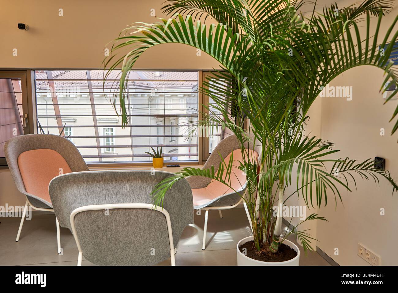 Moderna area salotto o ufficio con tre sedie contemporanee con tappezzeria grigia e cuscini color pesca disposti vicino alle grandi finestre. Foto Stock