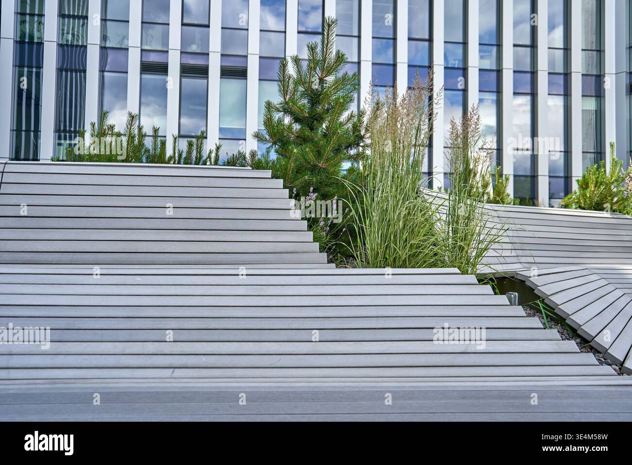 Moderno spazio urbano all'aperto con pavimento in legno a gradini o gradini in primo piano con un paesaggio integrato che include un giovane pino e. Foto Stock