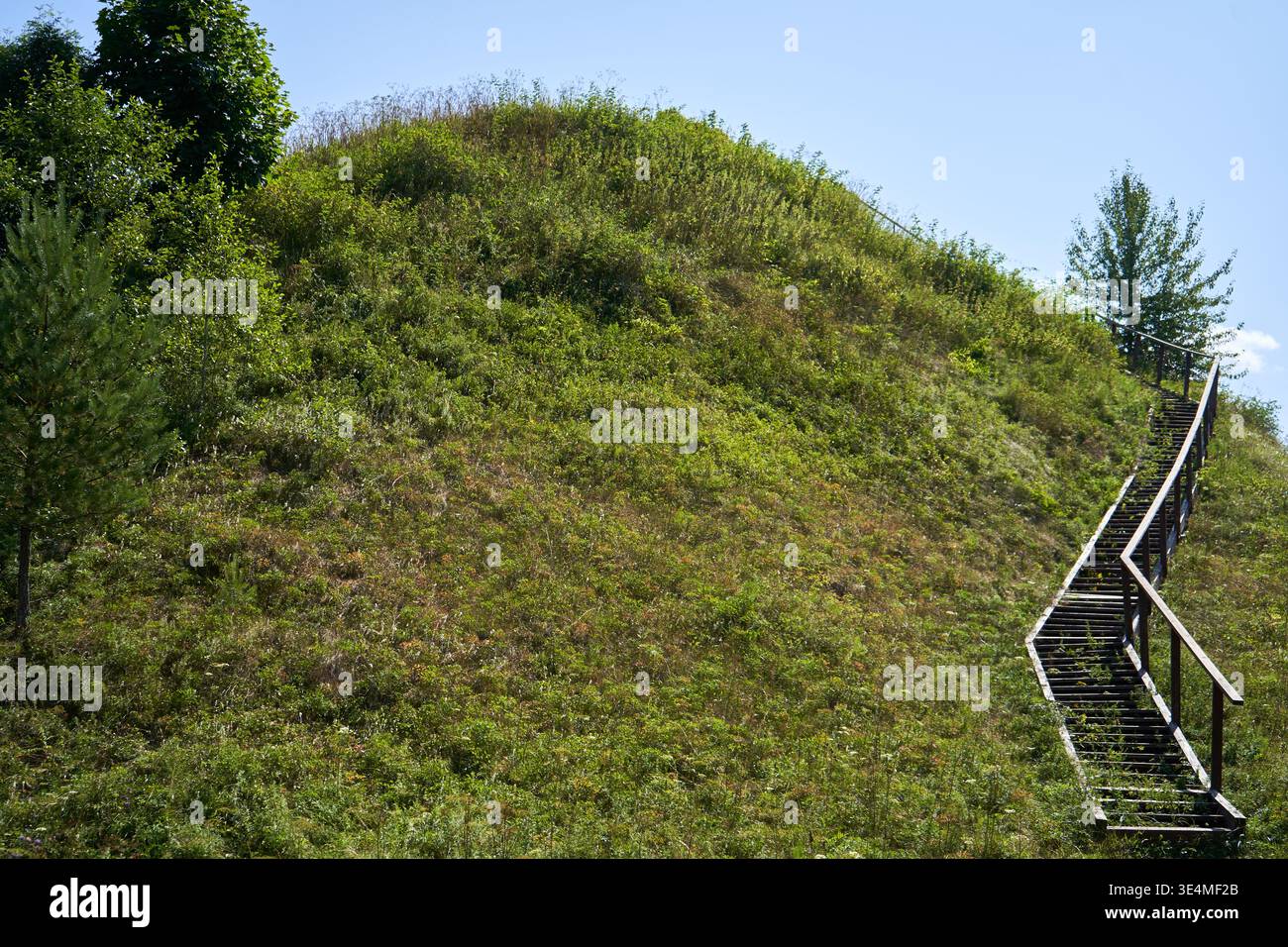 Una lussureggiante collina ricoperta di erba verde sotto un cielo azzurro limpido, caratterizzata da una lunga scala in legno con corrimano che sale sul versante destro. Vegetazione fitta Foto Stock