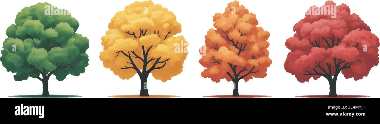 Quattro alberi colorati con foglie che cambiano in verde, giallo, arancione e rosso su sfondo bianco. Illustrazione Vettoriale