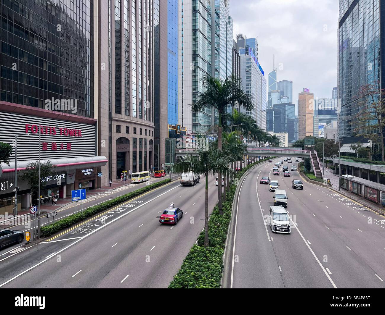 Paesaggio urbano vicino alla stazione di Wan Chai a Hong Kong, caratterizzato da palme e alti edifici per uffici lungo una strada della città. - Immagine stock catturata con smartphone