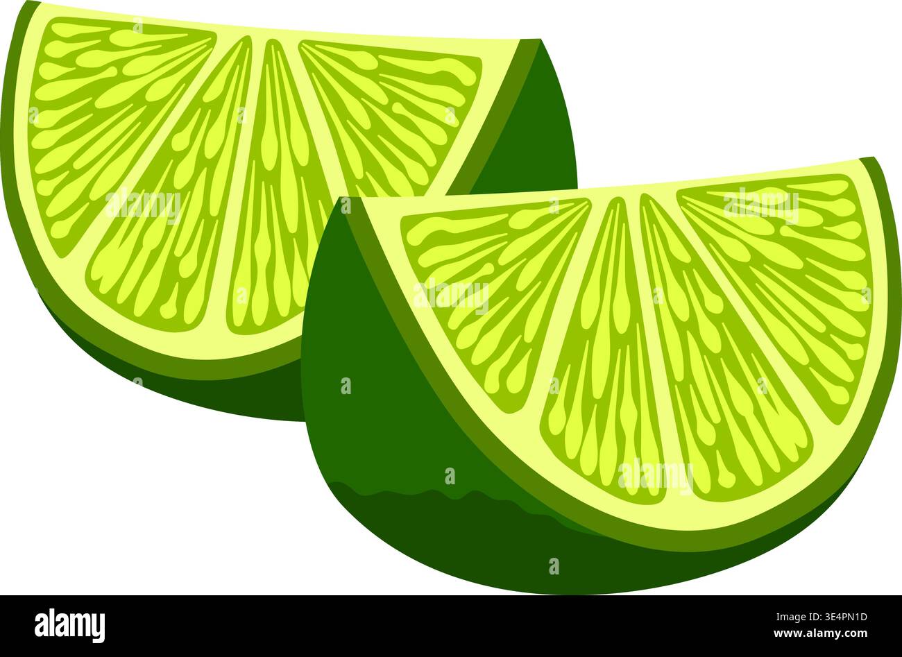 Illustrazione Citrus Fruit con spicchi di lime Illustrazione Vettoriale