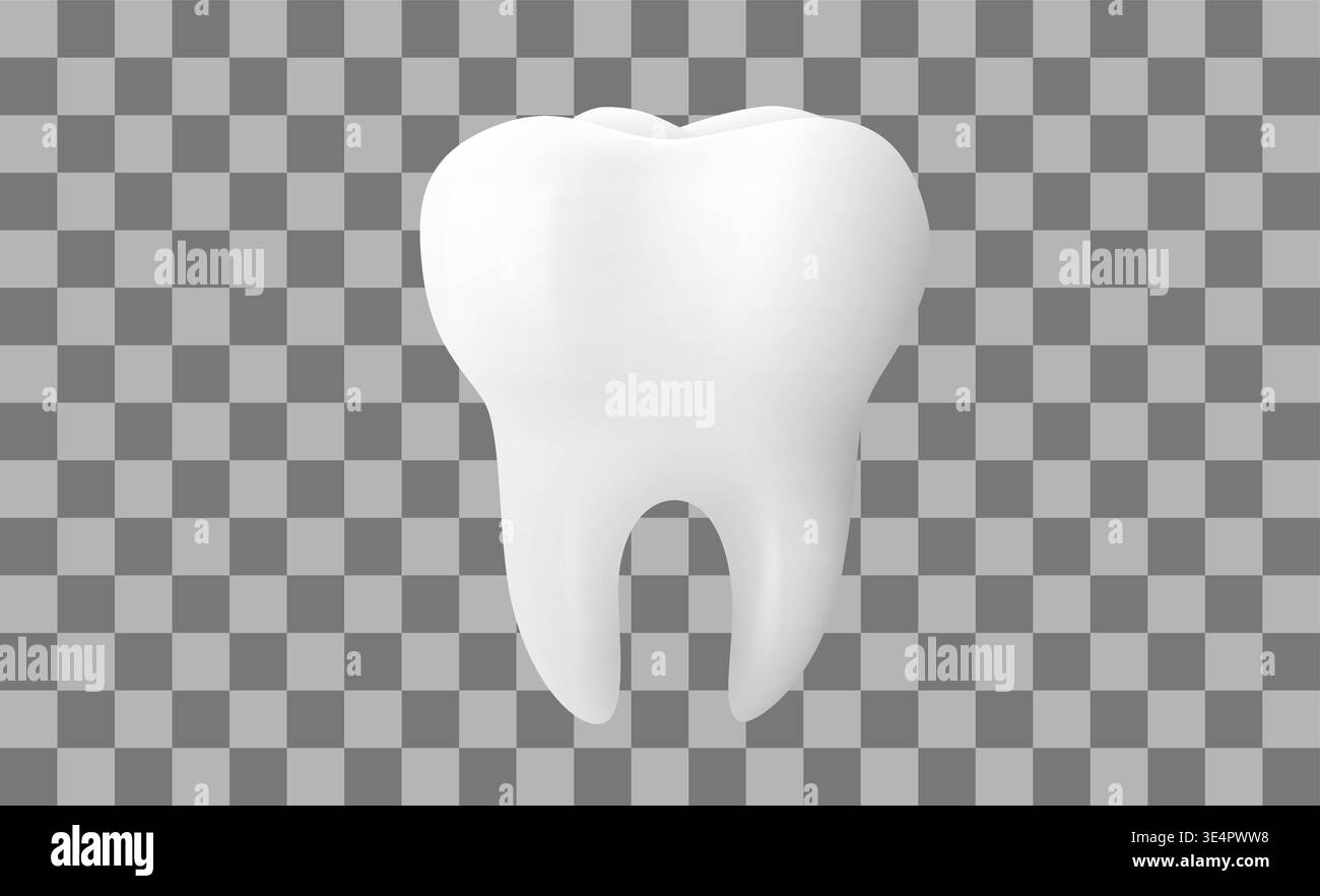 Un dente umano bianco realistico isolato su uno sfondo trasparente. Ideale per la cura dentale e l'igiene orale. Illustrazione vettoriale Illustrazione Vettoriale