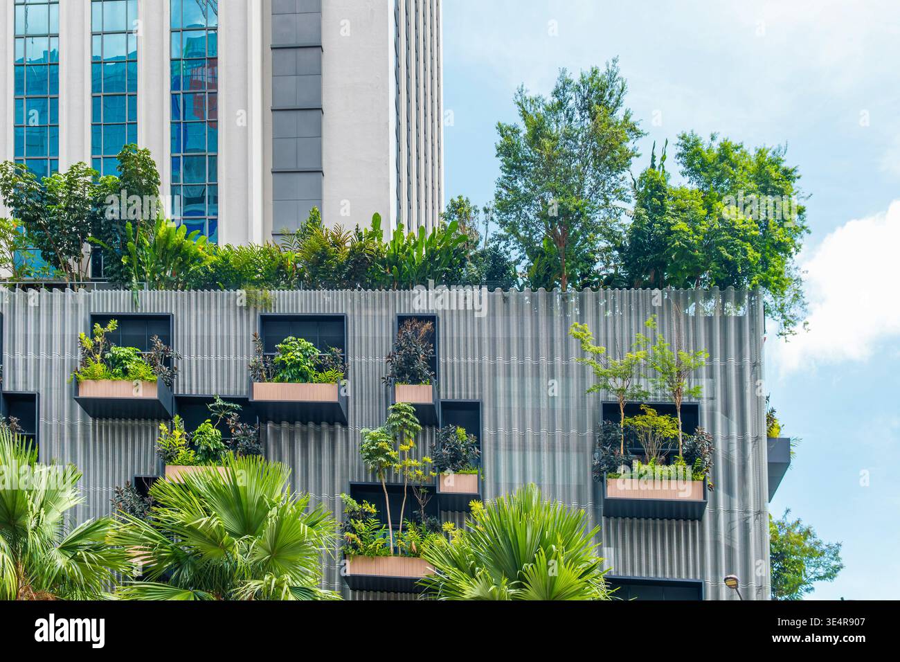 Facciata dell'edificio con piante verdi che crescono sul muro. Giardino verticale nella città di Kuala Lumpur, Malesia. Architettura moderna ed ecologica sostenibile Foto Stock