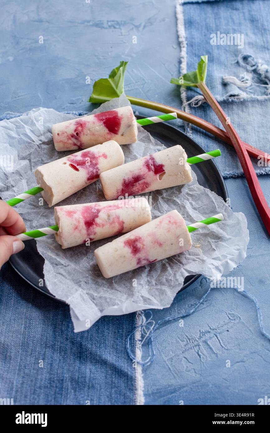 Papaveri cremosi fatti in casa con vortici di bacca rossa e rabarbaro disposti su carta pergamena su tessuto denim. I gambi di rabarbaro fresco e il blu testurizzato Foto Stock