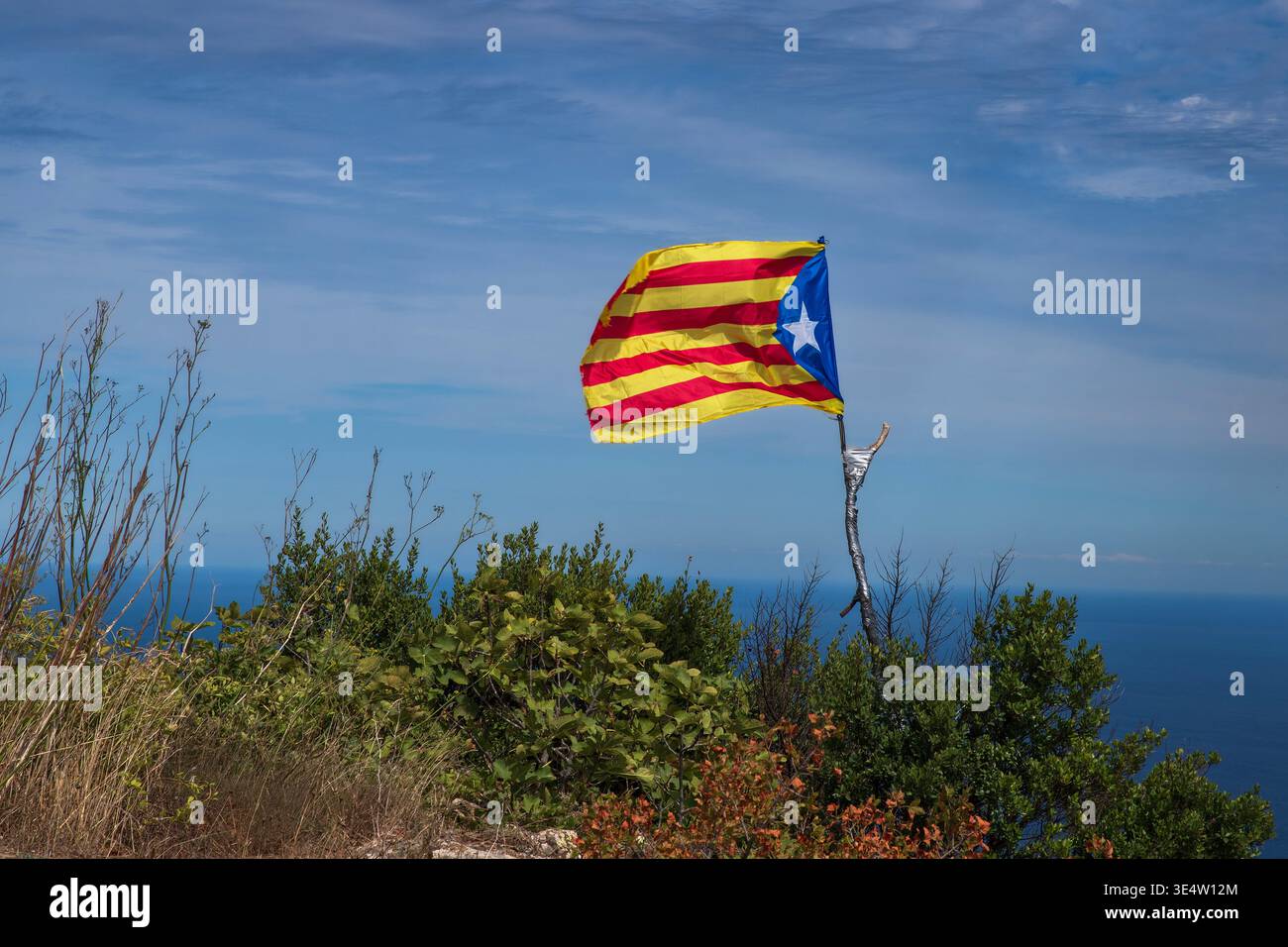 La bandiera dell'Estelada in Catalogna, Spagna, vola in cima tra la vegetazione Foto Stock