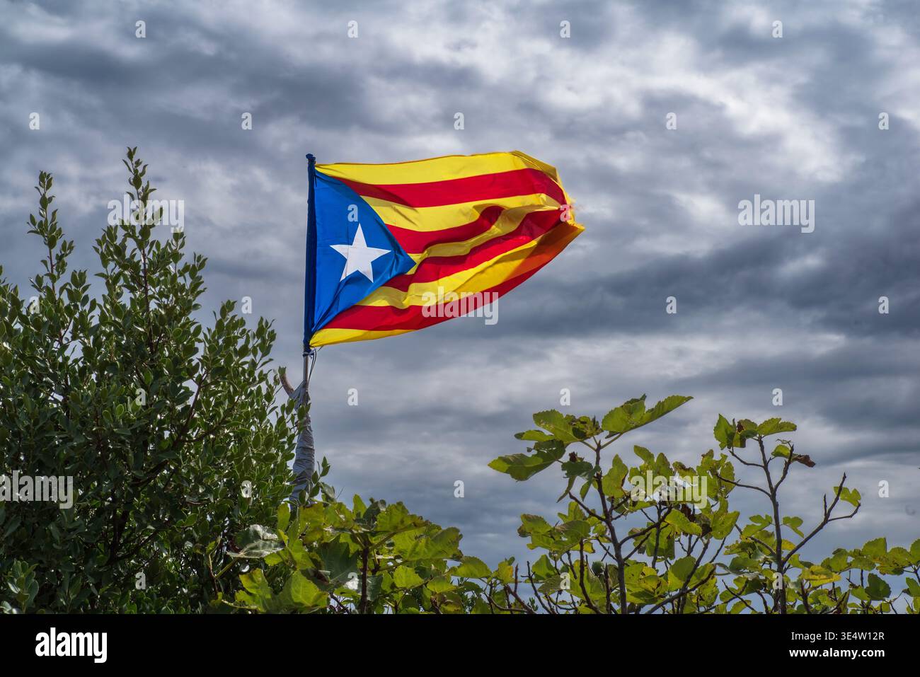 La bandiera dell'Estelada in Catalogna, Spagna, vola in cima tra la vegetazione Foto Stock