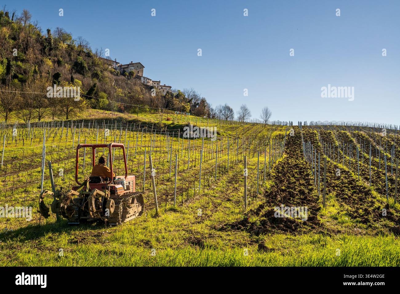 Un trattore cingolato arancione lavora tra le file di un vigneto nell'Oltrepo Pavese. Il primo piano mostra terreno appena arato, mentre il villaggio di Canevino stan Foto Stock