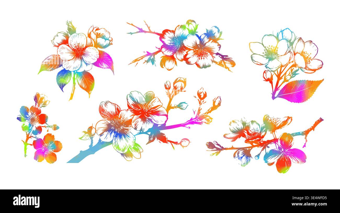 Incastonate i rami di ciliegio con fiori, sakura isolato colorato su sfondo bianco. Disegnato a mano. Non ai, illustrazione vettoriale. Illustrazione Vettoriale
