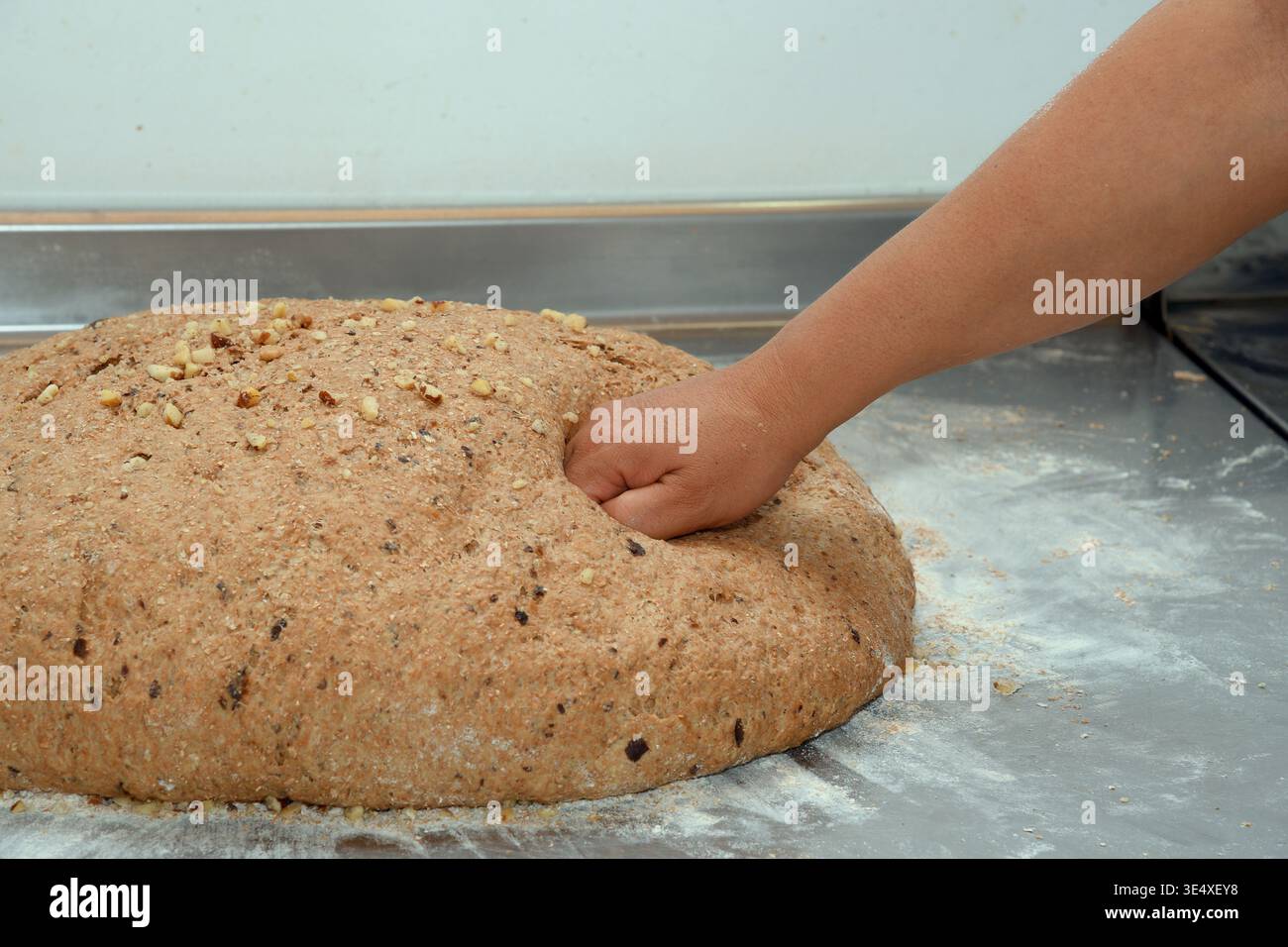 Primo piano del pugno di un fornaio che toglie l'impasto del pane integrale con le noci su un tavolo di metallo Foto Stock