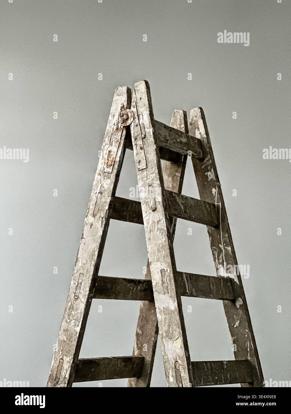Una scala a spruzzo di vernice utilizzata per la manutenzione degli edifici si trova in una stanza con una semplice parete di fondo. Foto Stock