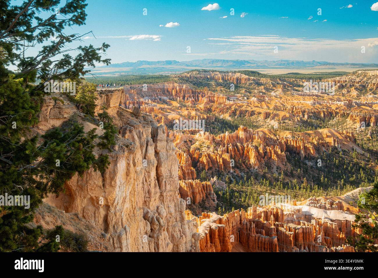 Vista sul canyon luminoso. Tranquillo scenario dal Bryce Canyon Highlights vibrante geologia tra lussureggianti valli boscose Foto Stock
