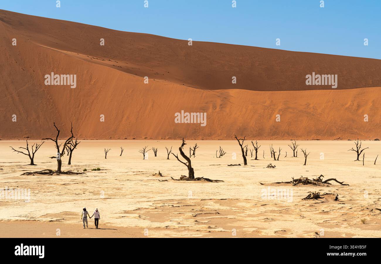 Alberi e dune secolari a Deadvlei, Sossusvlei Namibia Foto Stock