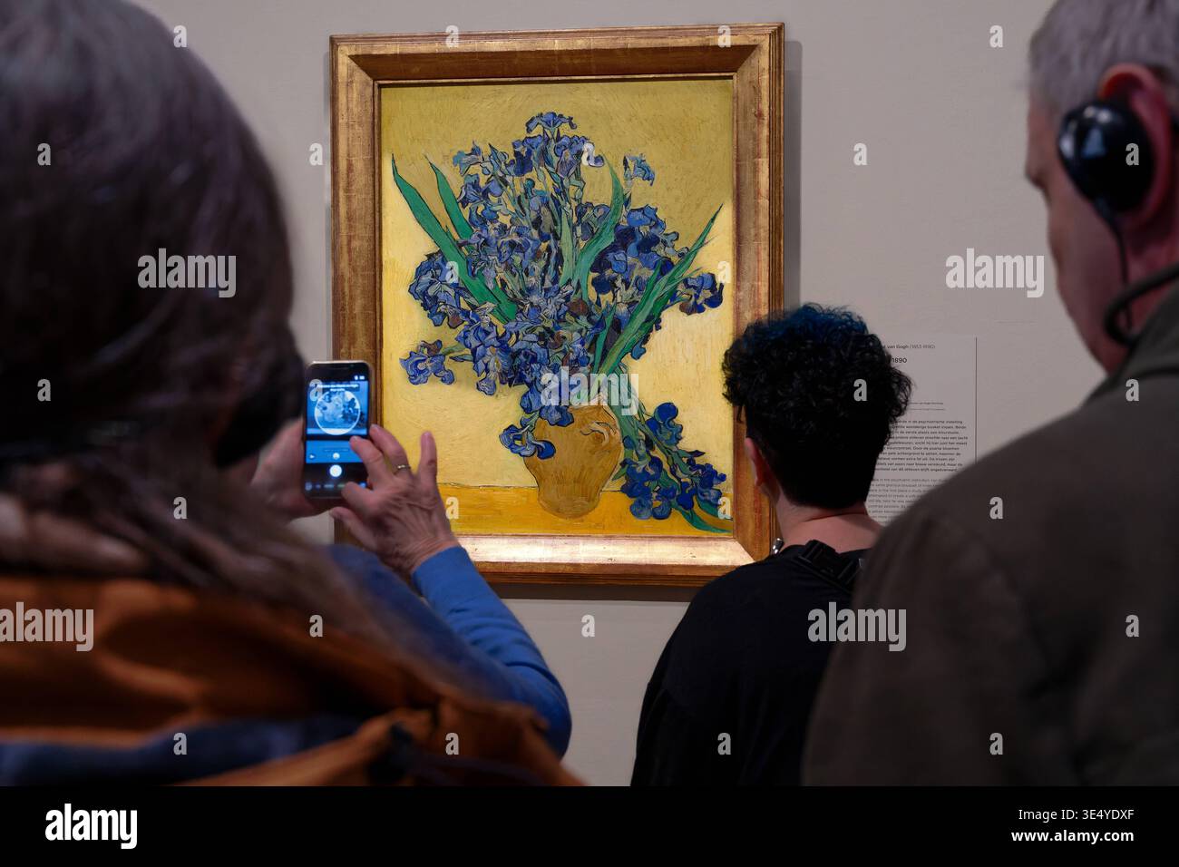 Kunst Malerei ArchitekturTourismus 22.-26.03.2026 Amsterdam Niederlande Holland Vincent Van Gogh Museum Amsterdam Irises -Vincent van Gogh 1853 - 1890 Foto Stock