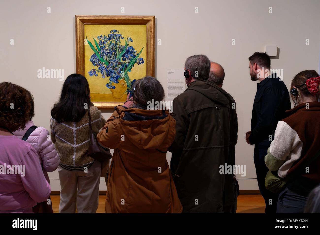 Kunst Malerei ArchitekturTourismus 22.-26.03.2026 Amsterdam Niederlande Holland Vincent Van Gogh Museum Amsterdam Irises -Vincent van Gogh 1853 - 1890 Foto Stock