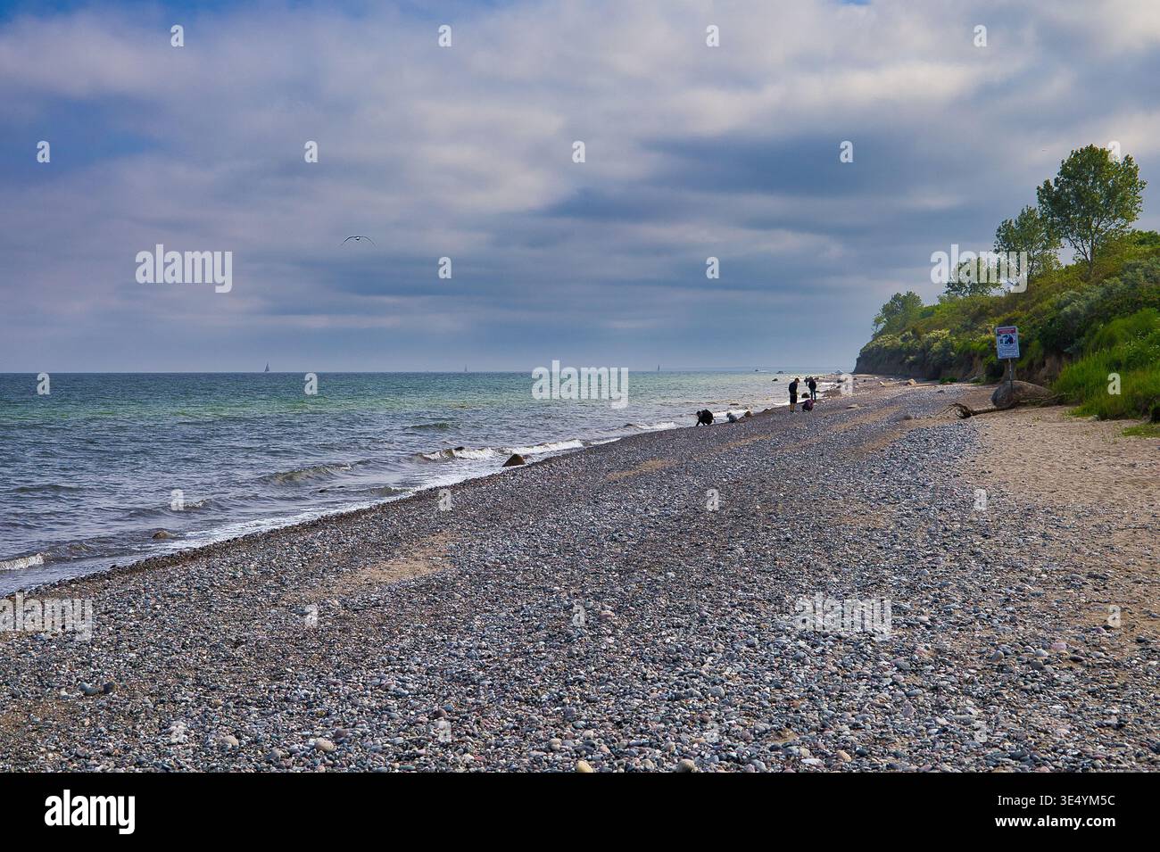 Naturbelassener Steinstrand an der Ostseeküste unter bewölktem Himmel – Weite Meereslandschaft mit Küstenvegetation und fernen Spaziergängern Foto Stock